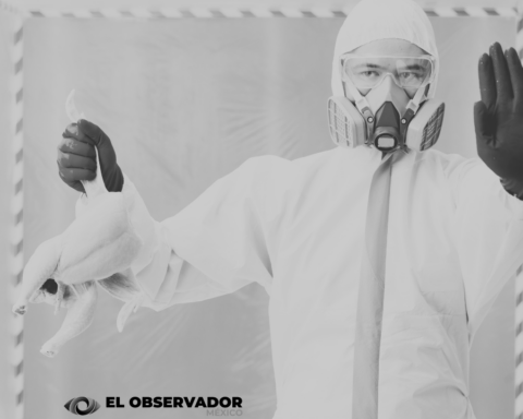 La OMS confirma la primera muerte humana por gripe aviar en México