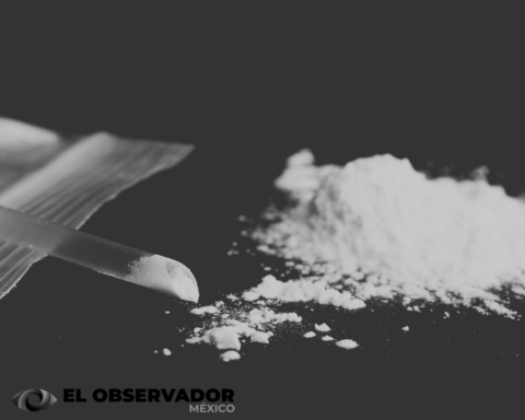 México, tercer mayor productor de opiáceos y metanfetaminas, según informe de la ONU