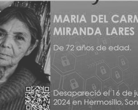 María del Carmen Miranda Lares