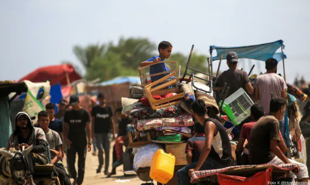 Los piojos, el nuevo enemigo de los desplazados de Gaza