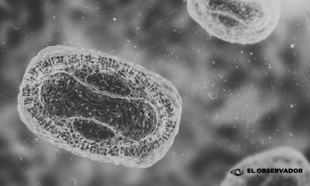 Detectan caso de la nueva variante de mpox en Alemania