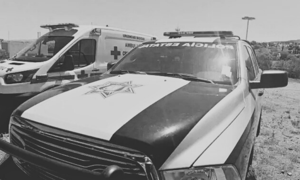 Vecina violenta y sus perros atacan a madre e hijo en su propia propiedad