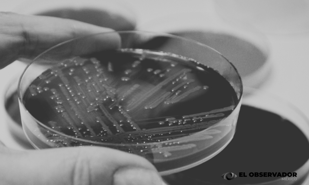 Emite la Secretaría de Salud alerta epidemiológica por 'Klebsiella oxytoca'