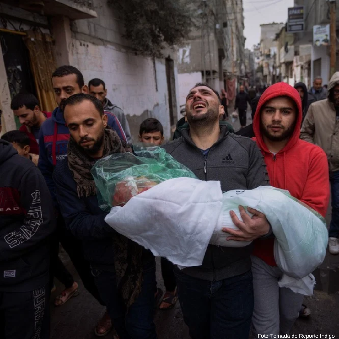 Amnistía Internacional califica como genocidio las acciones de Israel en Gaza