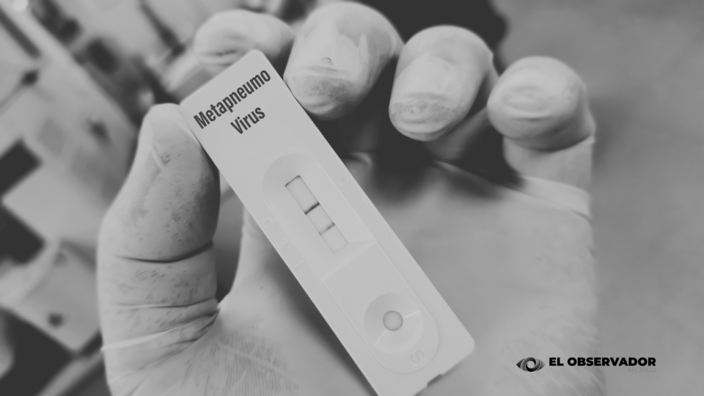 Metapneumovirus