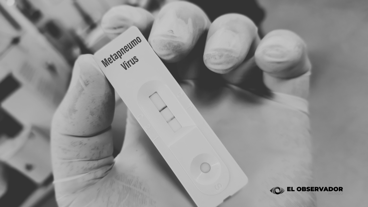 Metapneumovirus