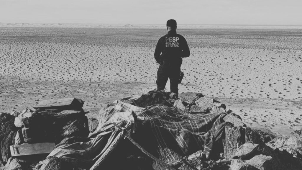 Desmantelan campamentos delictivos en la frontera de Sonora