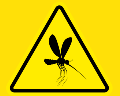 Emite la OPS alerta epidemiológica por aumento de dengue del serotipo DENV-3