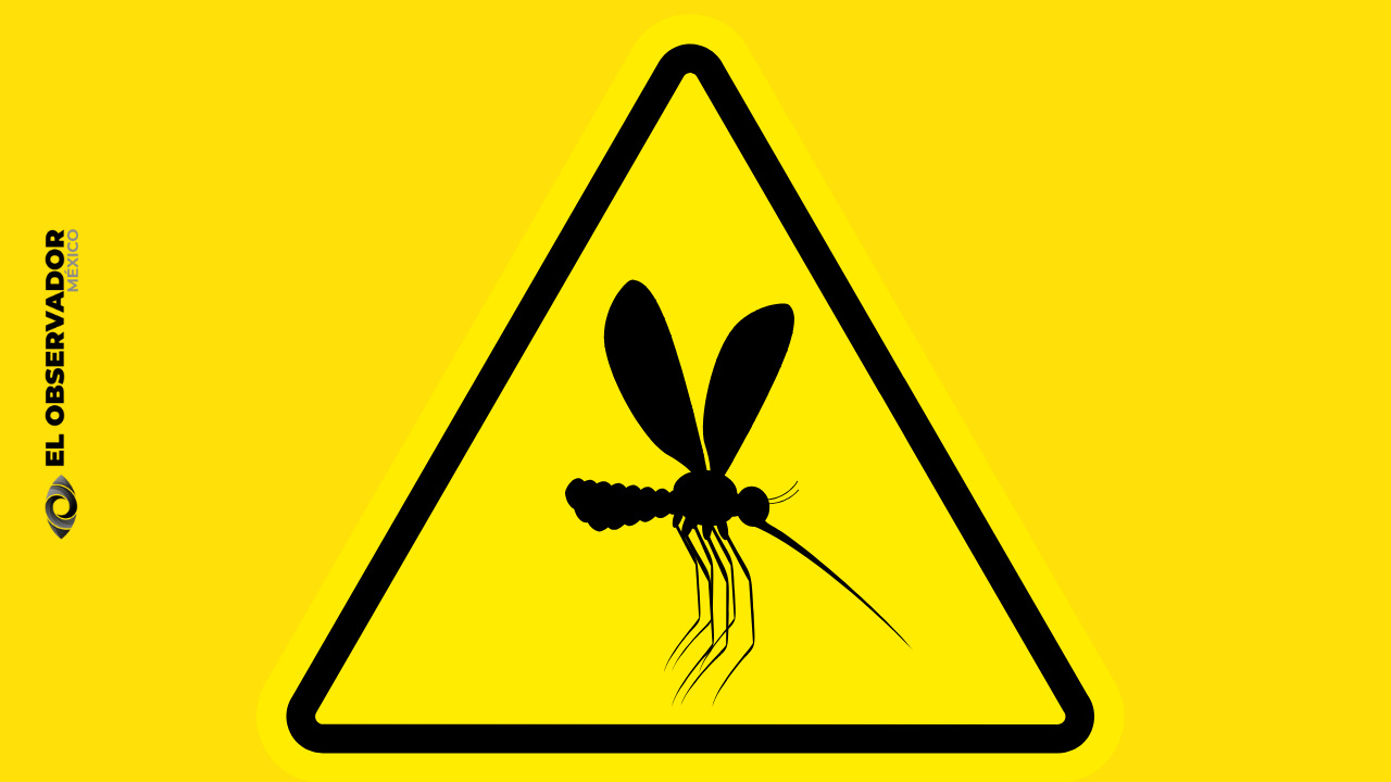 Emite la OPS alerta epidemiológica por aumento de dengue del serotipo DENV-3