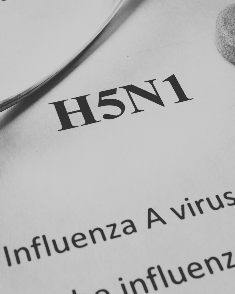 Gripe aviar estaría propagándose silenciosamente entre humanos