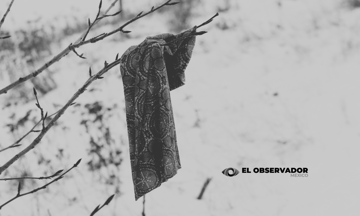 Alarma en Sonora por repunte de desapariciones de menores