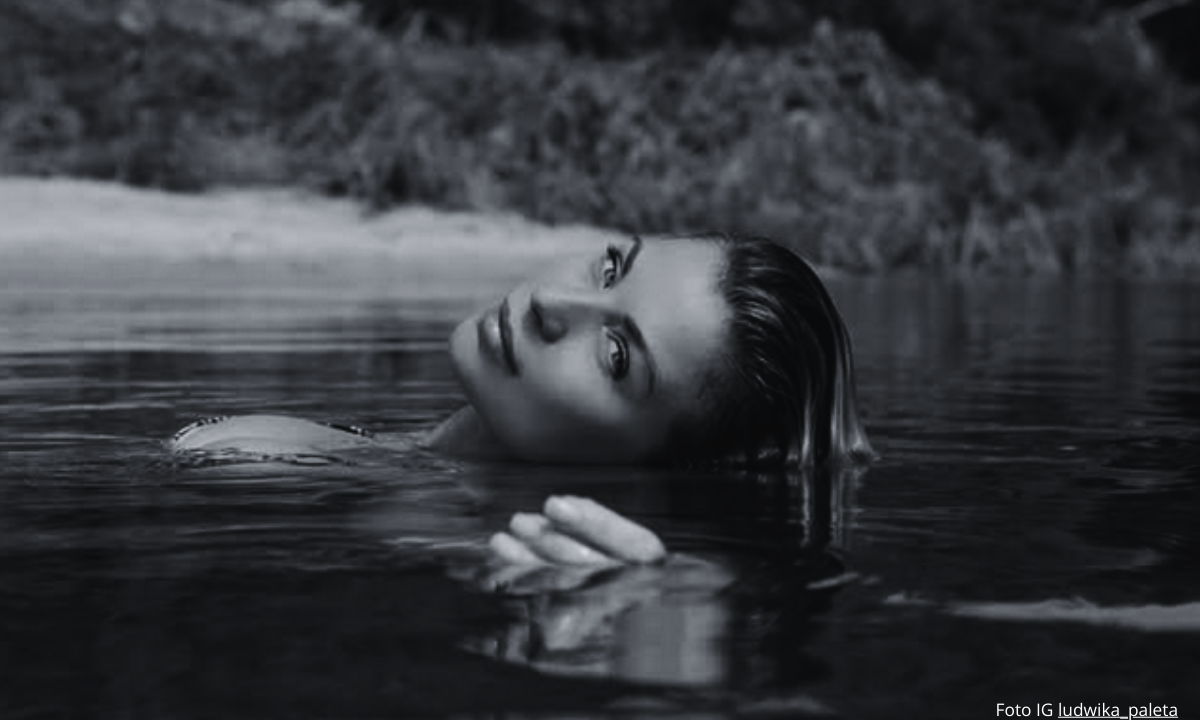 Ludwika Paleta