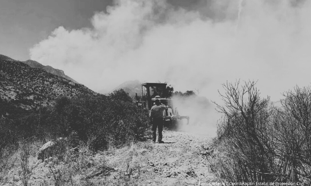 Alrededor de 32 mil hectáreas afectadas por incendios forestales en Sonora