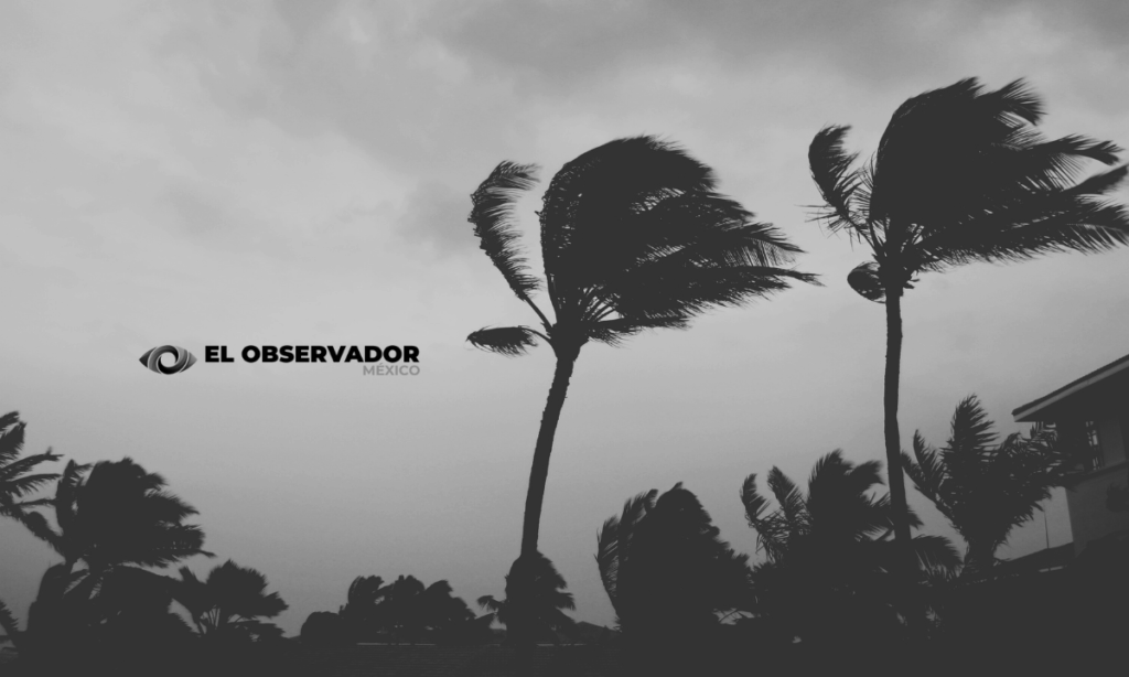 ‘Barry’ toca tierra en Veracruz; deja lluvias extremas en varias entidades