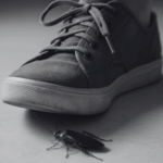 CUCARACHA