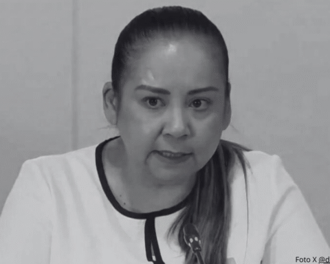 Maria Luisa Andrade